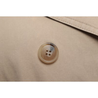Massimo Dutti Jacket/Coat Cotton in Beige
