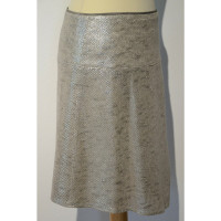 Strenesse Skirt in Silvery