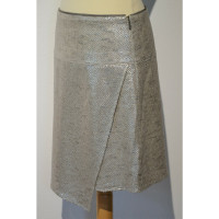 Strenesse Skirt in Silvery