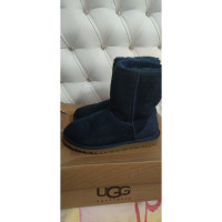 Ugg Australia Boots in Blue