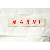 Marni Skirt Linen in Cream
