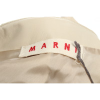 Marni Skirt Leather in Beige