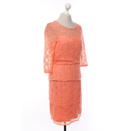 Tahari Kleid in Orange
