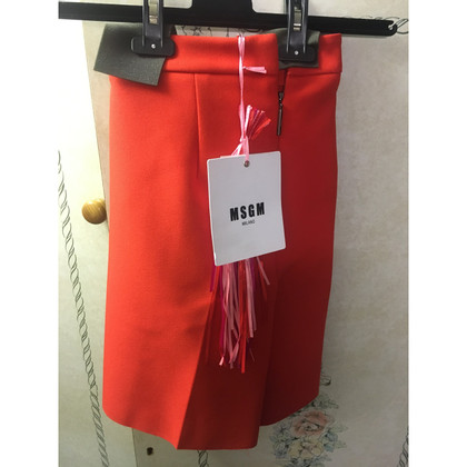 Msgm Shorts in Red