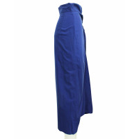 Dries Van Noten Skirt Cotton in Blue