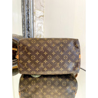 Louis Vuitton Speedy 30 in Bruin