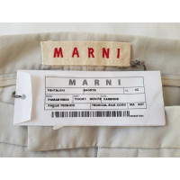 Marni Shorts Cotton in Beige