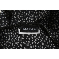 Max & Co Scarf/Shawl
