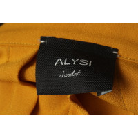 Alysi Skirt in Ochre