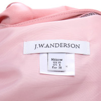 J.W. Anderson Rok Wol in Roze