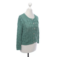 Fabiana Filippi Knitwear Cotton in Green