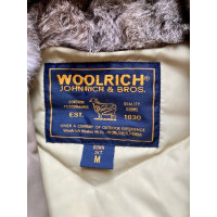 Woolrich Giacca/Cappotto in Verde oliva