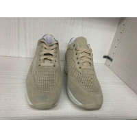 Byblos Trainers Suede in Beige