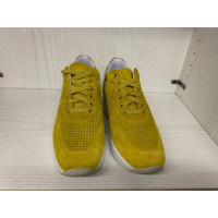 Byblos Trainers Suede in Yellow