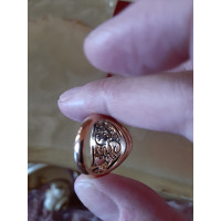 Crivelli  Ring Red gold in Gold