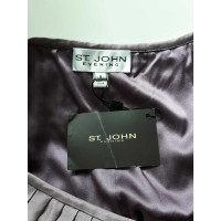 St. John Gonna in Viola