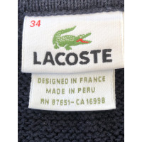 Lacoste Knitwear Cotton in Blue