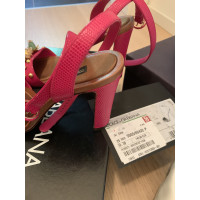 Dolce & Gabbana Sandalen in Rosa / Pink