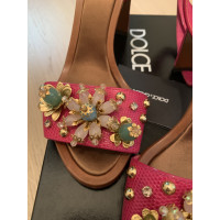 Dolce & Gabbana Sandali in Rosa