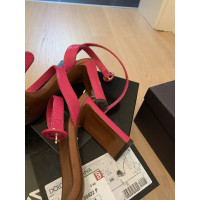 Dolce & Gabbana Sandalen in Rosa / Pink