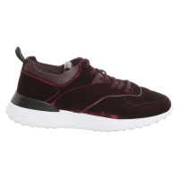 Tod's Trainers in Bordeaux
