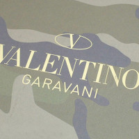 Valentino Garavani Täschchen/Portemonnaie aus Canvas in Grün