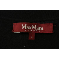 Max Mara Studio Completo