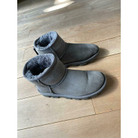 Ugg Australia Ankle boots in Grey
