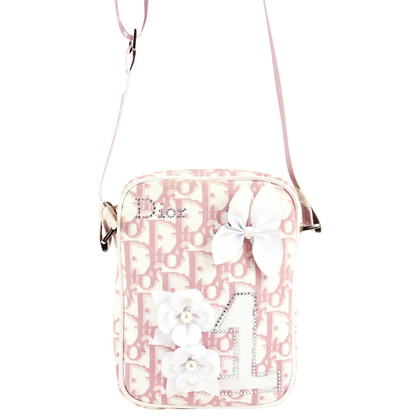 Dior Handbag in Pink