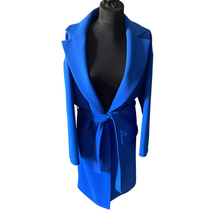 Alexander McQueen Jacket/Coat in Blue
