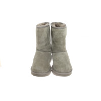 Ugg Australia Stivaletti in Pelle in Grigio