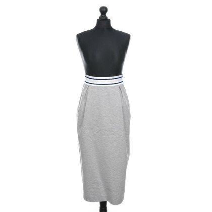 Fabiana Filippi Skirt Cotton in Grey
