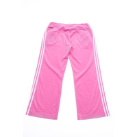 Adidas Hose in Rosa / Pink