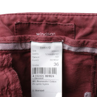 Windsor Trousers Cotton in Bordeaux