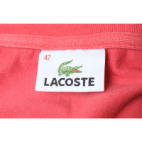 Lacoste Oberteil in Rot