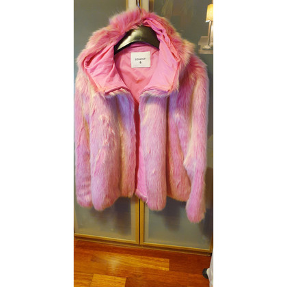 Dondup Jacket/Coat in Pink