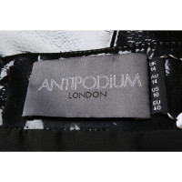 Antipodium Rock in Schwarz