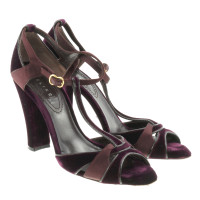 Céline Samt-Sandaletten in Aubergine