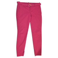 Gucci Trousers Cotton in Bordeaux