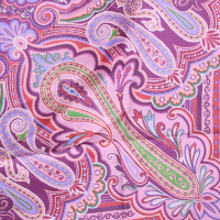Etro Scarf/Shawl Silk in Pink