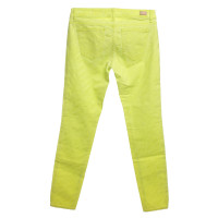 Rich & Royal Jeans in neon green