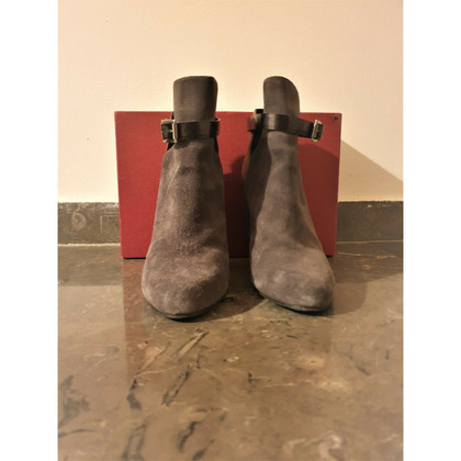 Vicini Ankle boots Suede in Grey