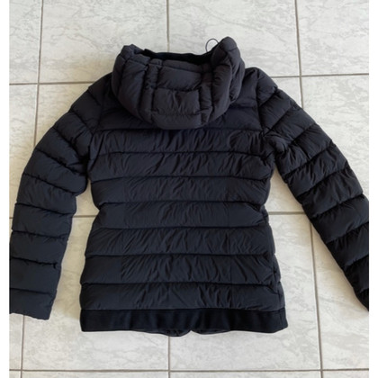Montecore Jacket/Coat in Black