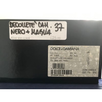 Dolce & Gabbana Stivali in Pelle scamosciata in Nero