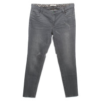 Thomas Rath Jeans in Grau