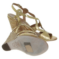 Ash Wedge in gold