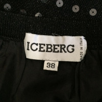 Iceberg deleted product