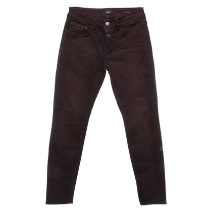 Closed Jeans in Cotone in Bordeaux