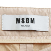 Msgm Hose in Nude