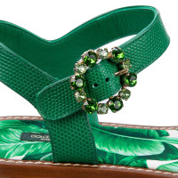 Dolce & Gabbana Sandals Leather in Green